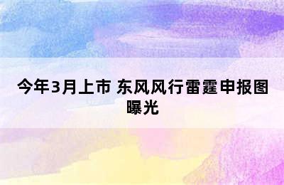 今年3月上市 东风风行雷霆申报图曝光